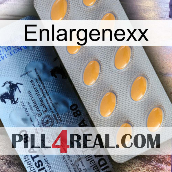 Enlargenexx 44.jpg